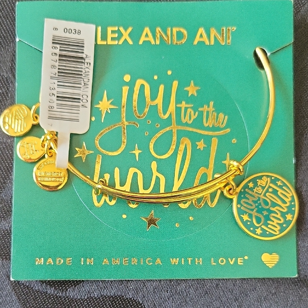 Alex and Ani Gold Bangle Bracelet